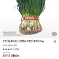 산지직송 쪽파 1kg