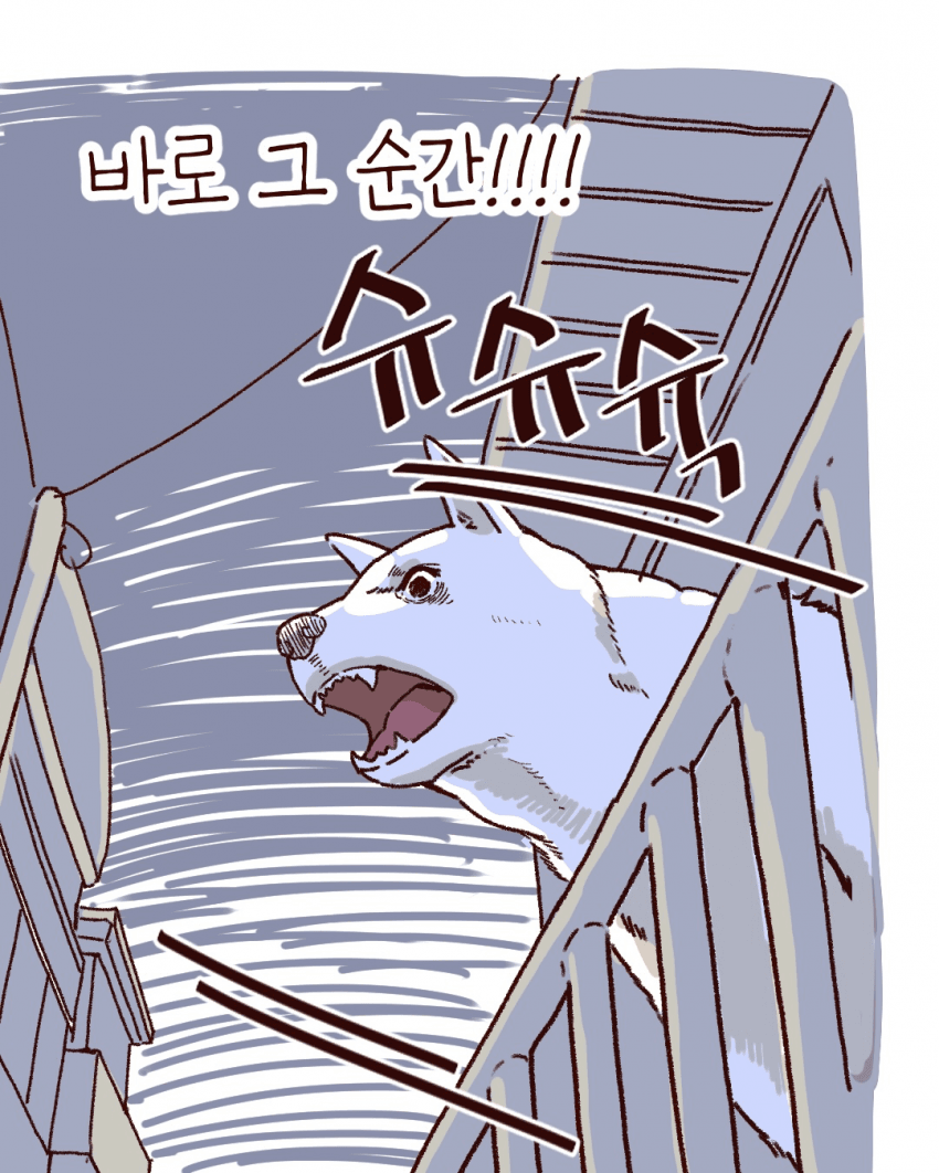 싱글벙글 우리동네 용감한 백구 이야기 (12)