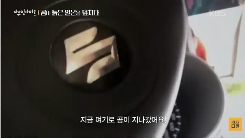 곰이 늙은 일본을 덮치다. 여고생 덮친 아키타 반달곰,, (7)