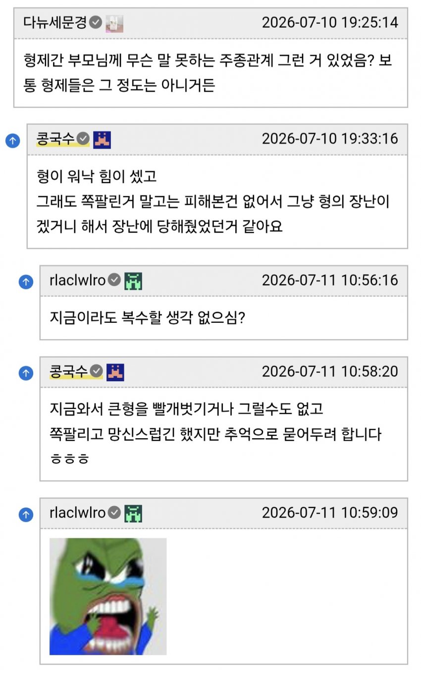 형에게 장난감 취급 당했다는 남동생들 (23)