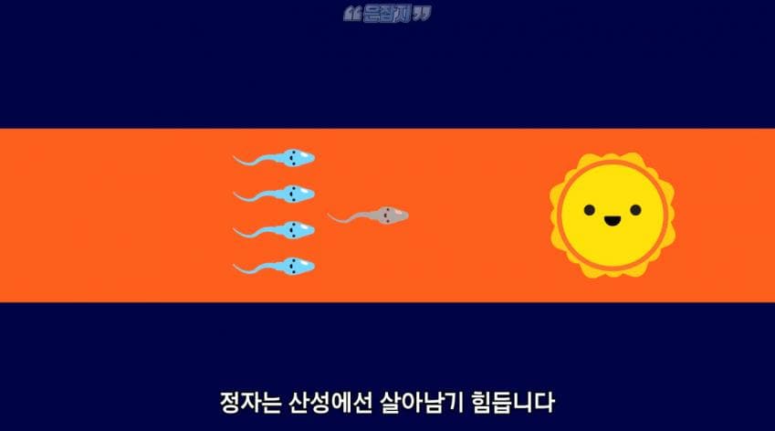 남자들은 잘 모르는 냉 이라는 것에 대하여 (28)