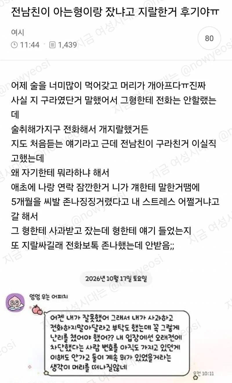 헤어전 전 남친이 너무 찌질한거 아니냐는 여시 (6)