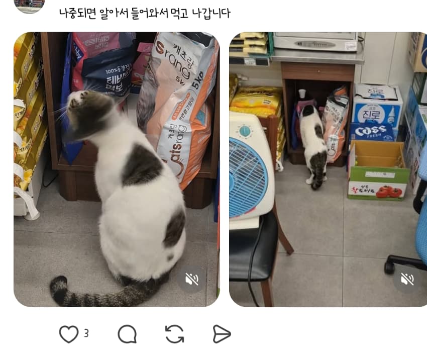 싱글벙글  밥 먹으러 오는 텰바퀴가 쳐다봄 (7)