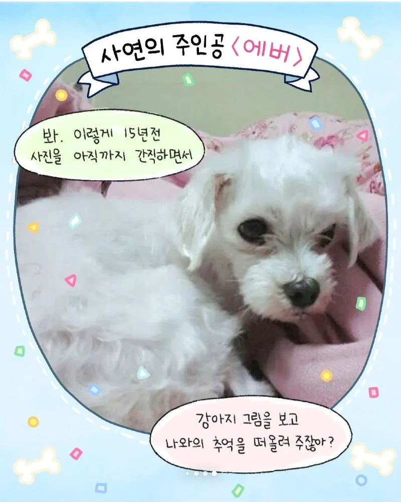 갑자기 찾아온 모르는 강아지.toon