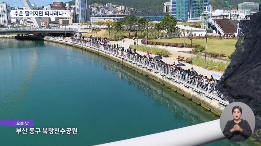 국민 상어 부캉이, 새끼 낳았나 (11)