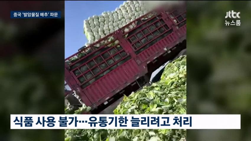 중국 배추 시신 보존제 발암물질 범벅…한국'중국산 김치'수입량 역대 최대 (15)