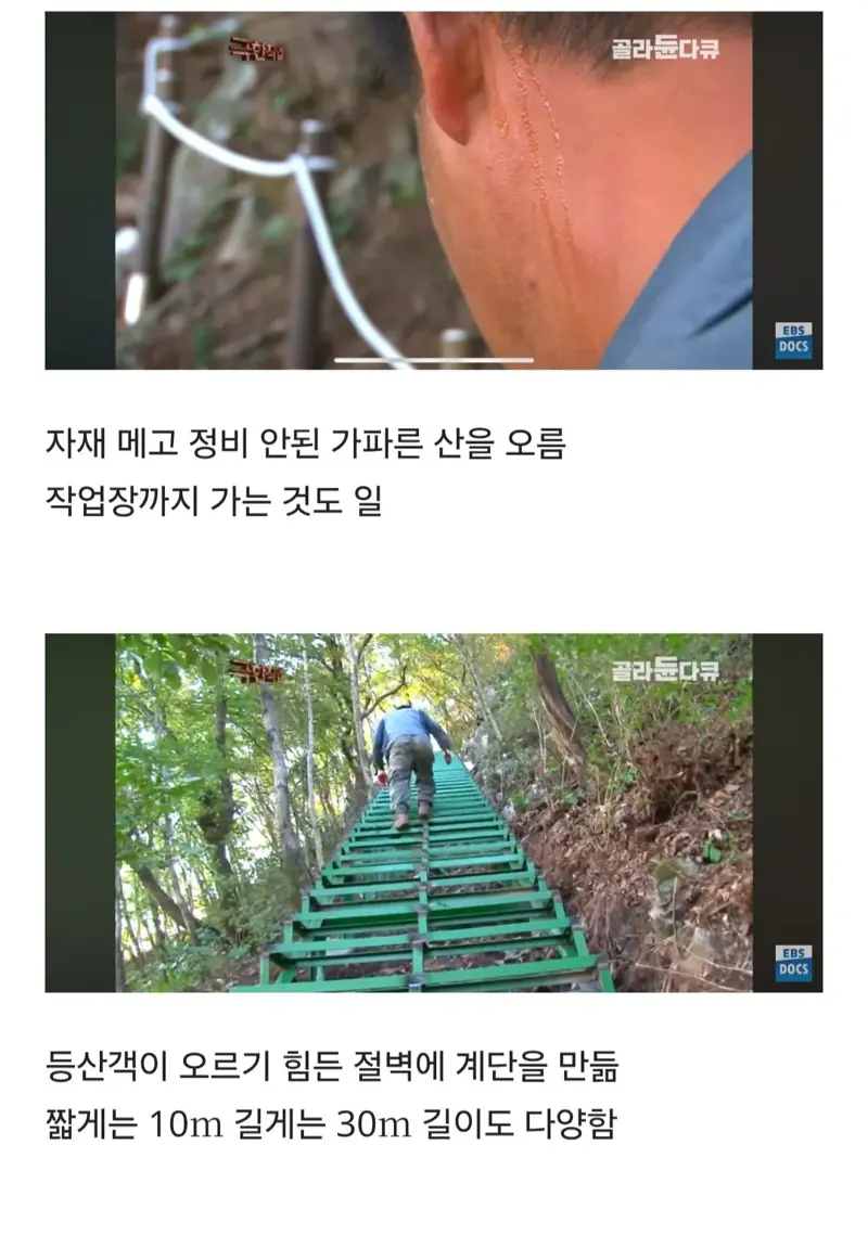 등산로는 누가 어떻게 만드는걸까 (12)