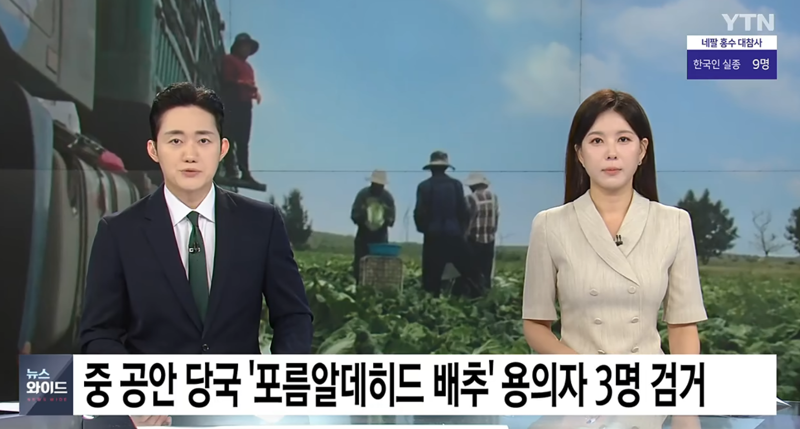 포름알데히드  배추  범인검거