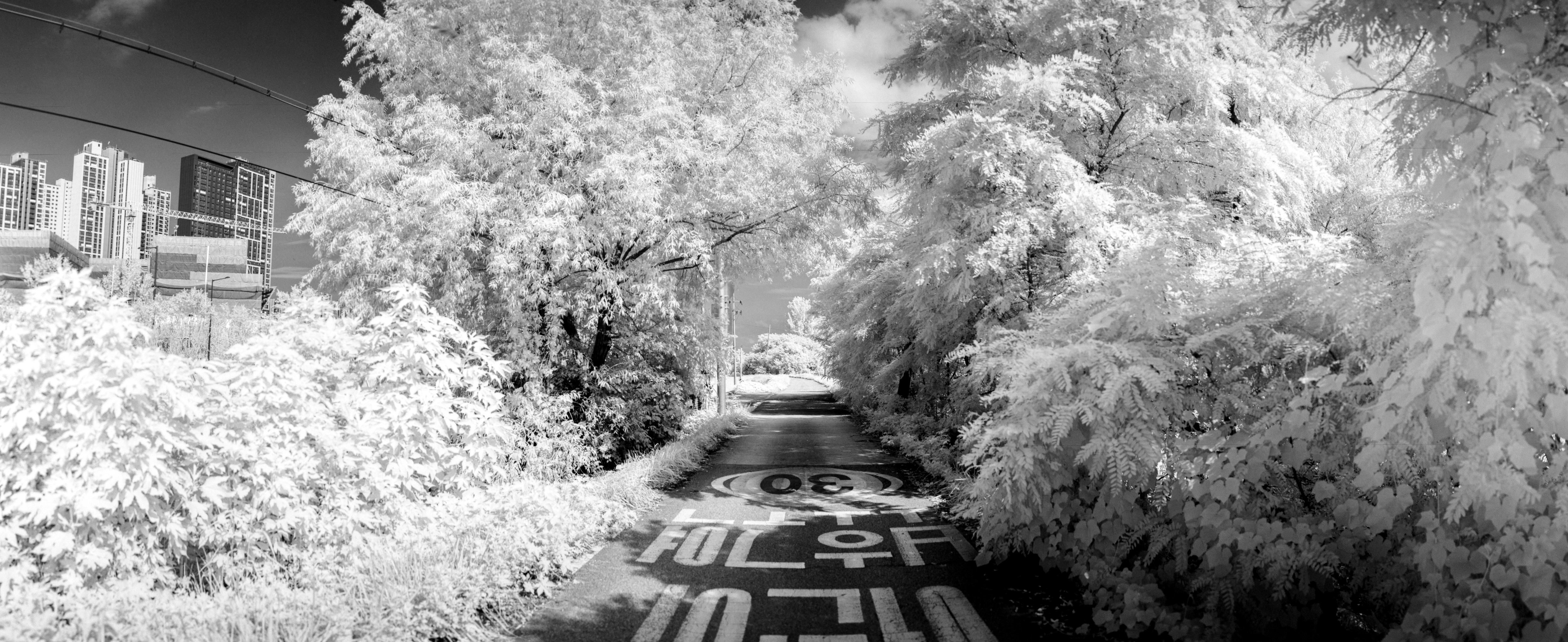 3분기 사진 정산 . webp (5)