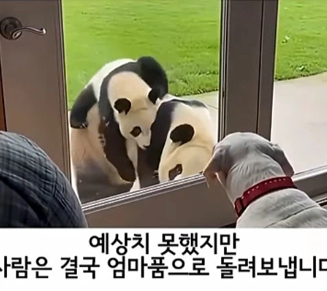 유튜브 쇼츠 AI 뇌절 대잔치 (11)