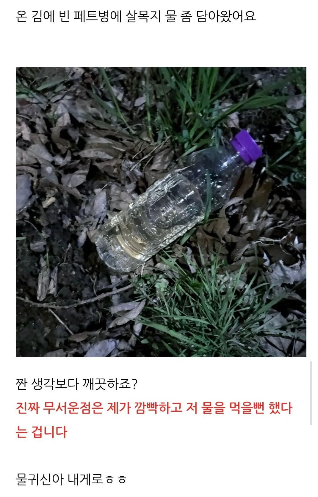 요즘 핫플레이스 살목지 찐광기의 후기 ㄷㄷㄷ;;;
