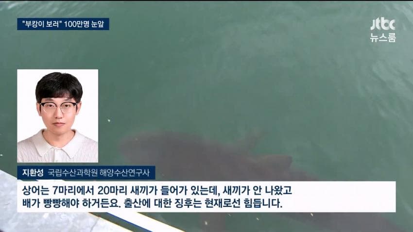 부캉이 보러... 결국 누적 100만명 돌파 (35)