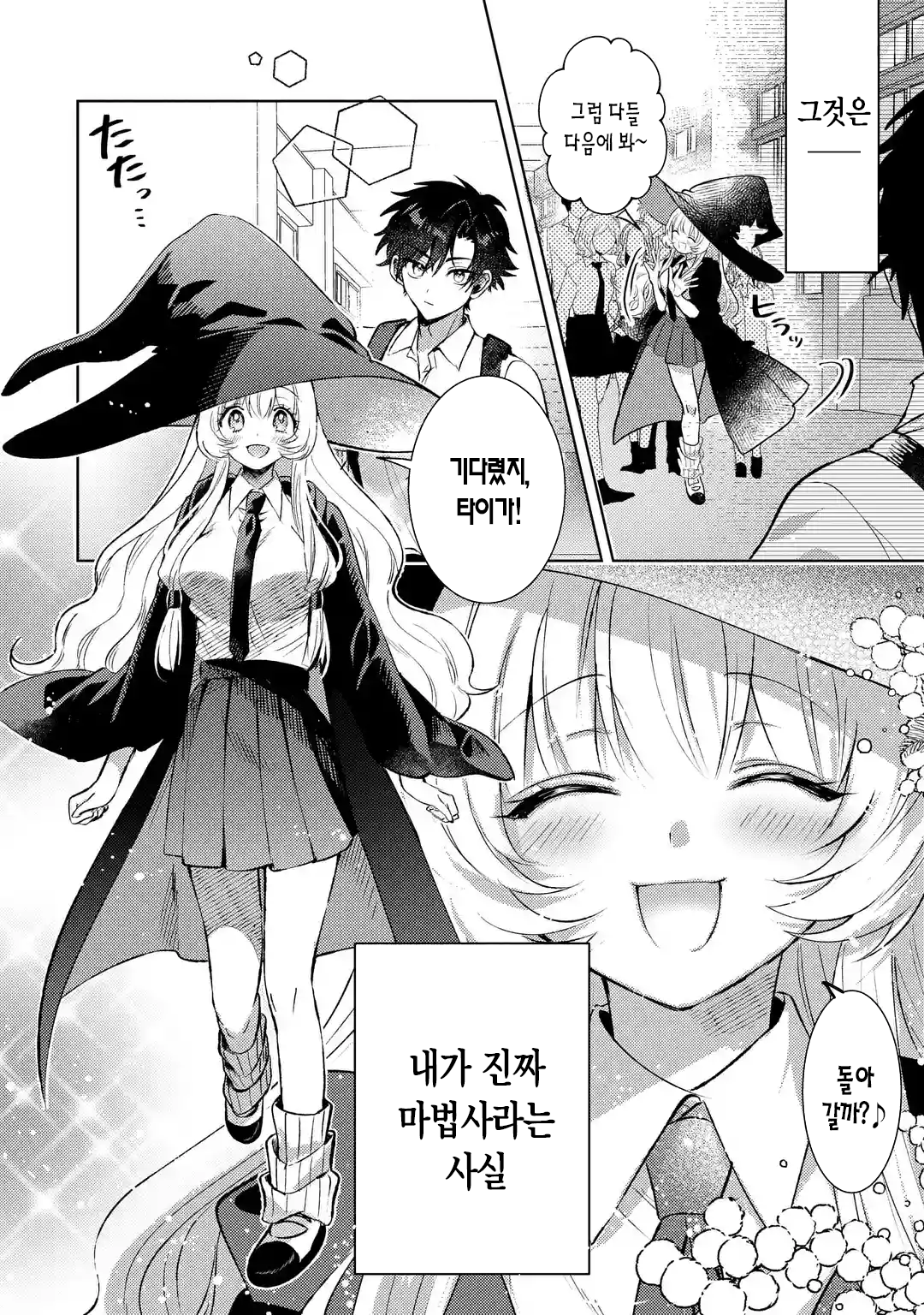 가짜인척 하는 진짜 마법사 만화 manhwa (2)