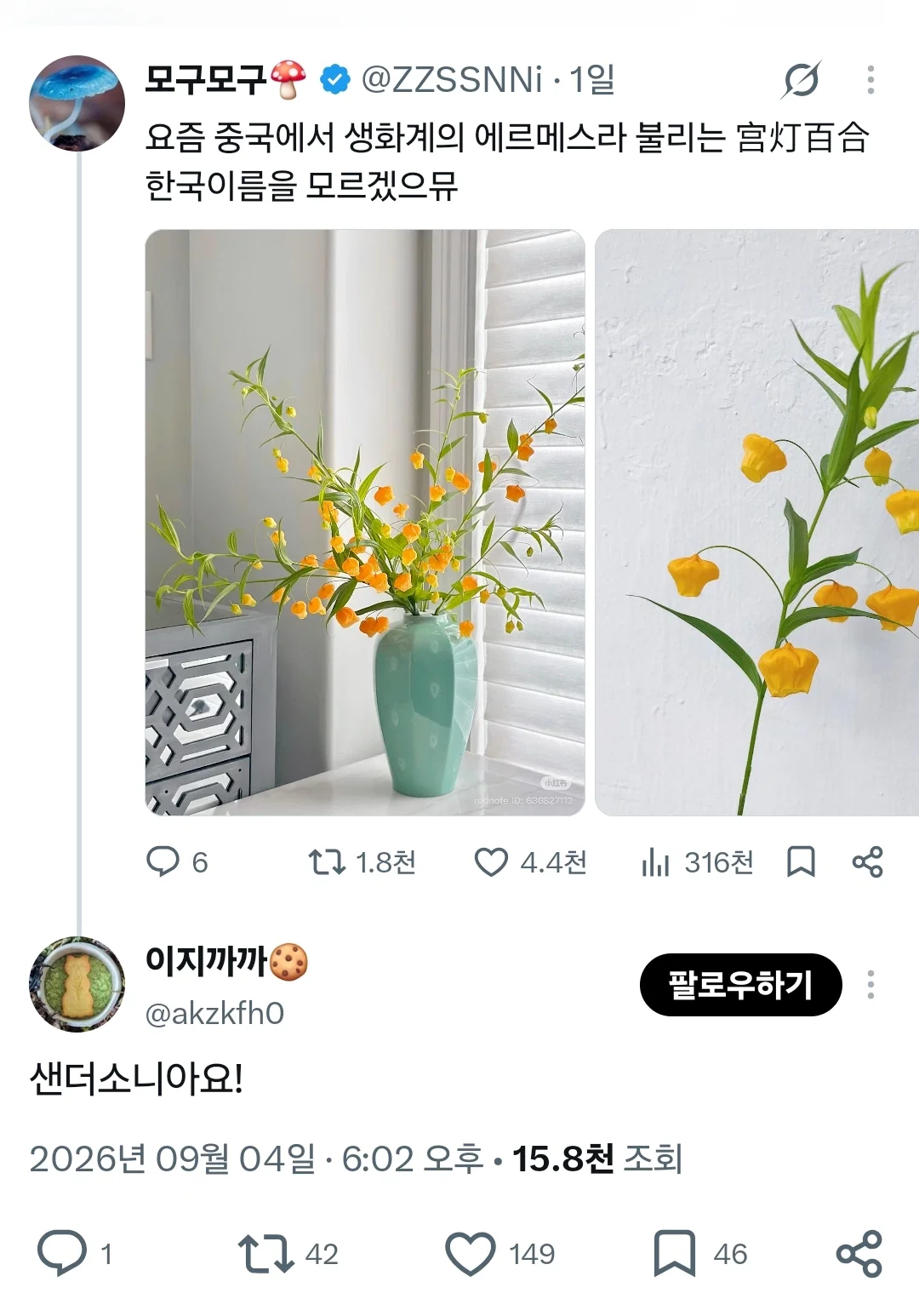 요즘 중국에서 생화계의 에르메스라 불린다는 꽃