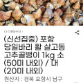 [지마켓] 당일바리 활 살고동 고추골뱅이 1kg 소(50미) (8,100원/무배)