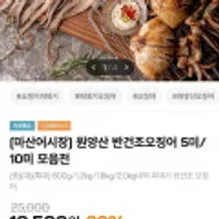 원양산 반건조오징어 5미