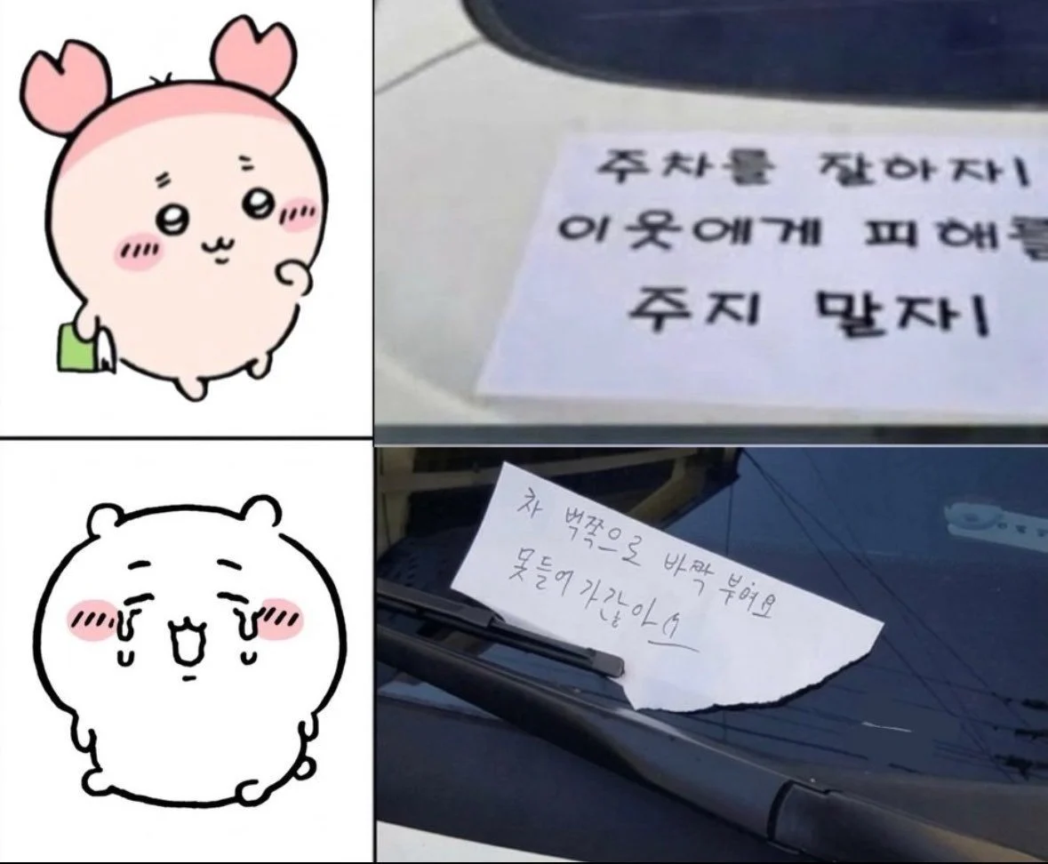 주차를 ㅈ같이 한 차를 본 치이카와들