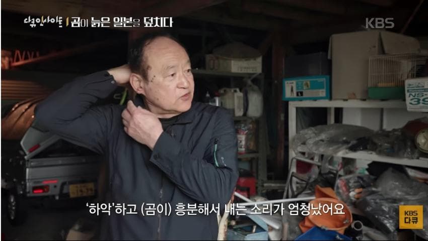 곰이 늙은 일본을 덮치다. 여고생 덮친 아키타 반달곰,, (18)