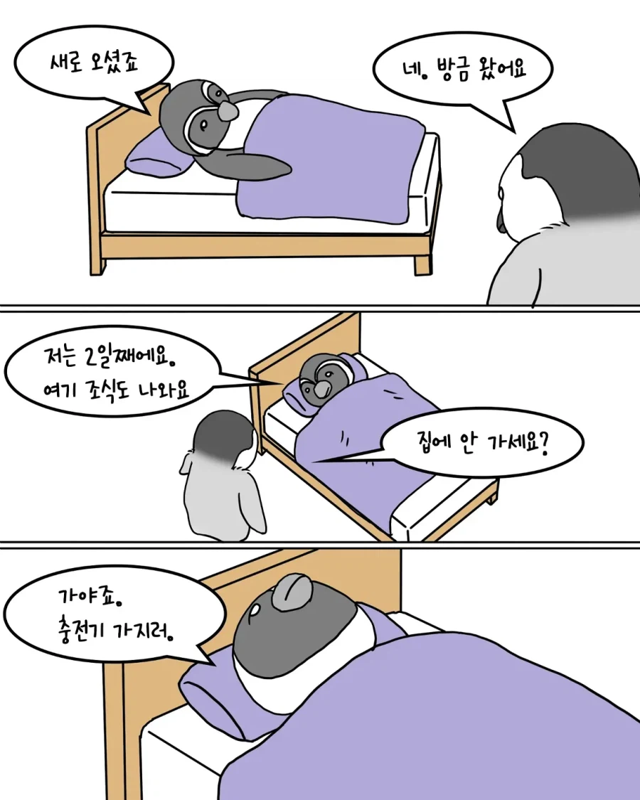 포근한 이불을 사러 온 펭귄.manwha