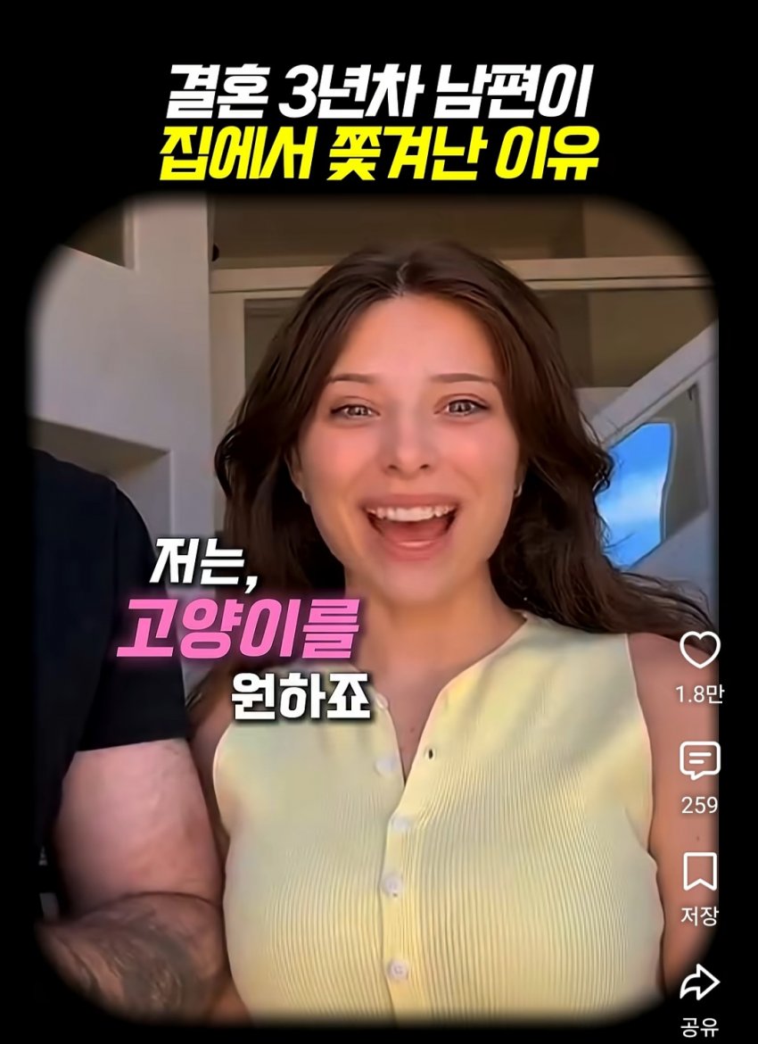 훌쩍훌쩍 부부의 반려동물 고르기촌