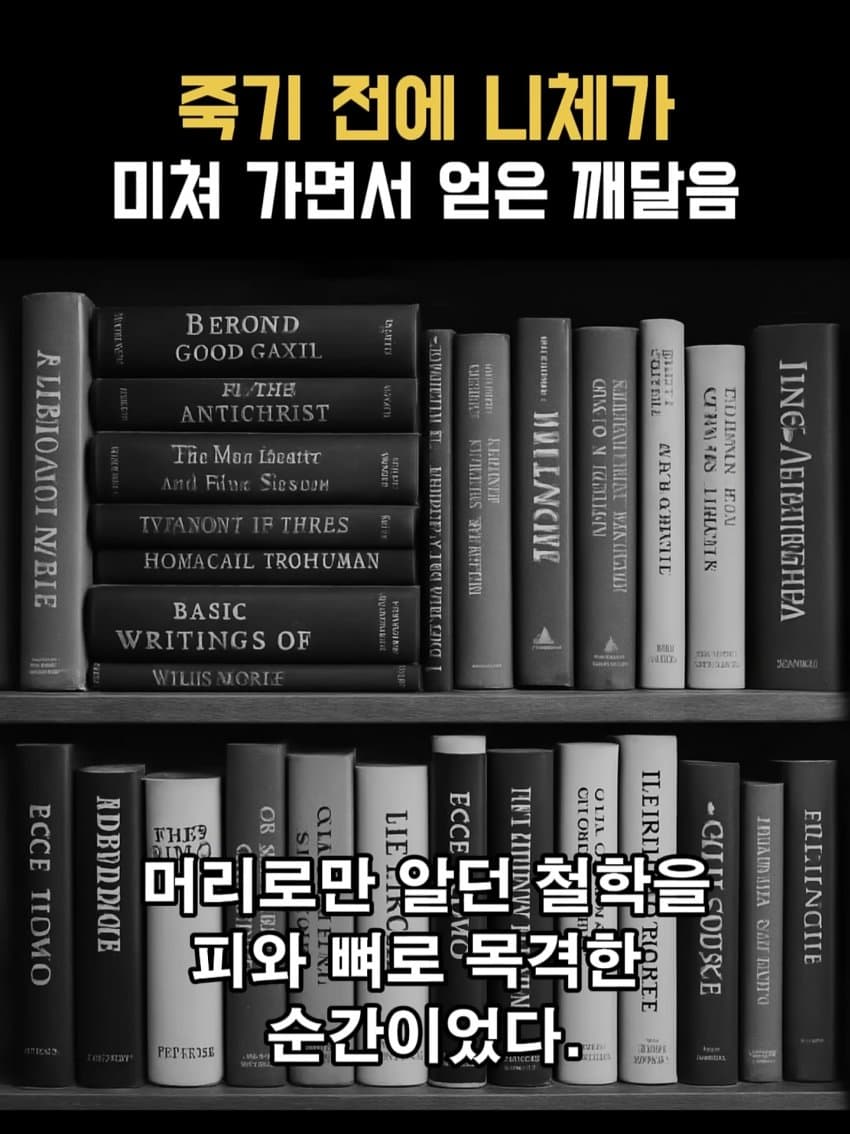 ㅂㅅㅂㅅ 니체가 죽기 직전에 미친 이유 (13)