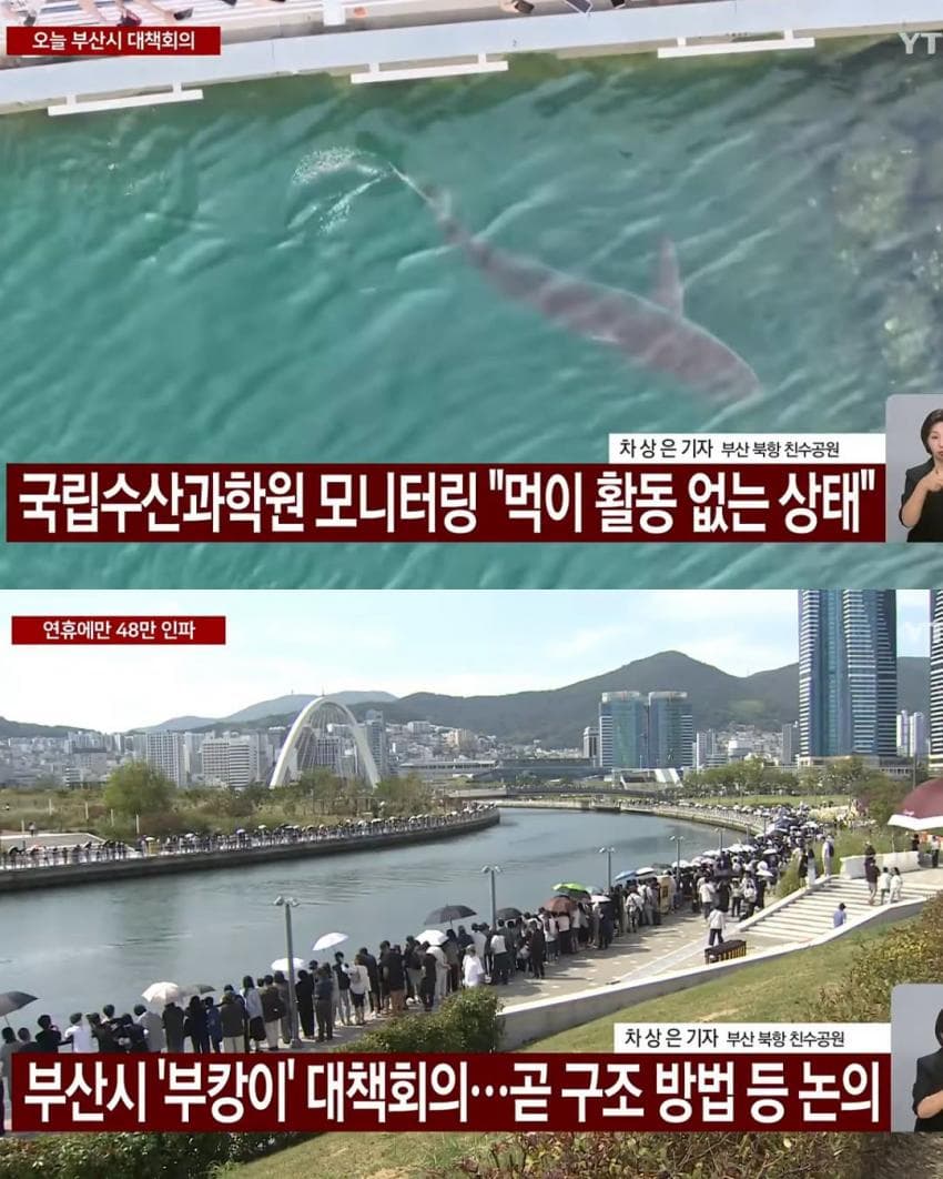아무 것도 안 먹은 것 같다는 부캉이.. 바다로 유도 (3)