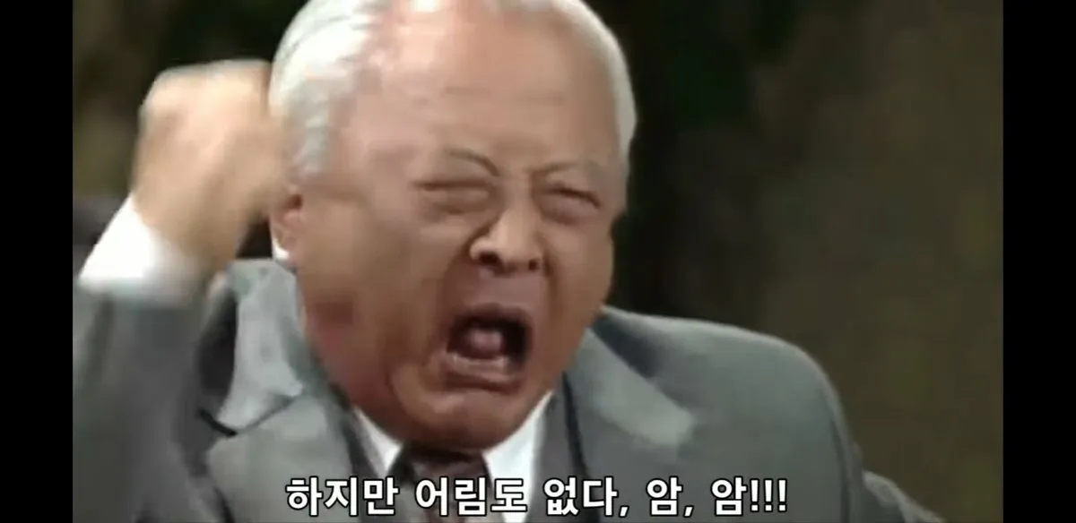 byd 사서 대충 로고만 바꿔서 타면 어떰?