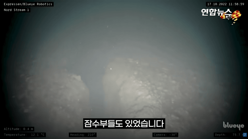 유럽 뒤흔든 수중폭발..우크라의 사보타주였다 (16)
