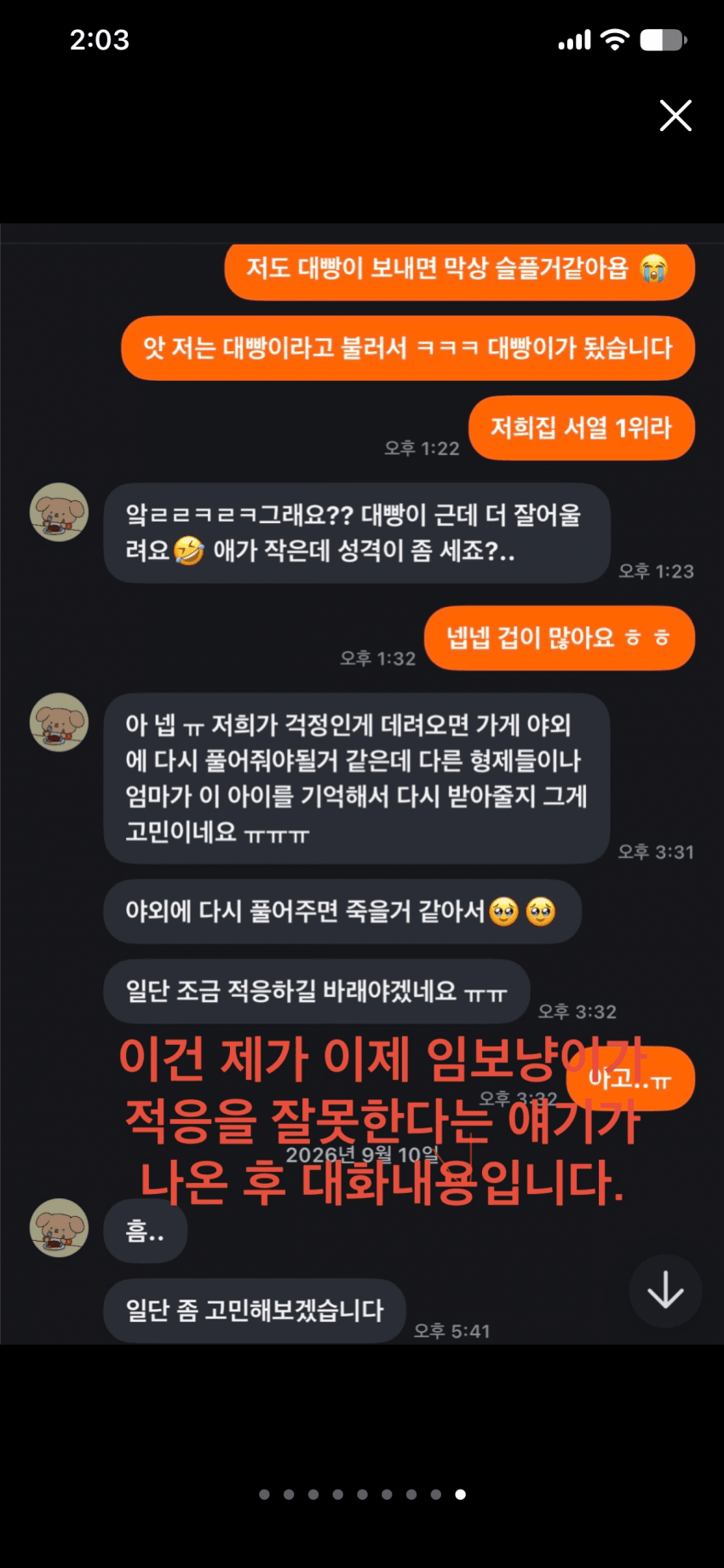 캣어머니한테 임보냥이 설계당한 당근 착한아줌마. (12)