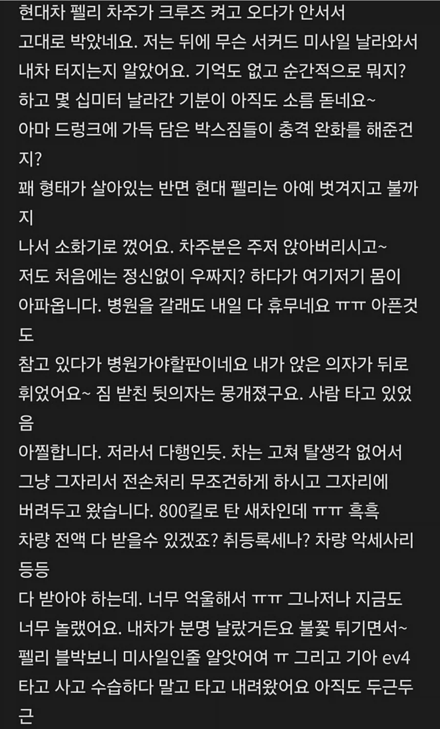 BYD VS 현대차 (4)
