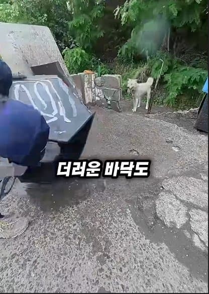 평생 목욕 한번 안 해본 차고지 지킴이 2살 한성이의 생애 첫 목욕대작전 (12)
