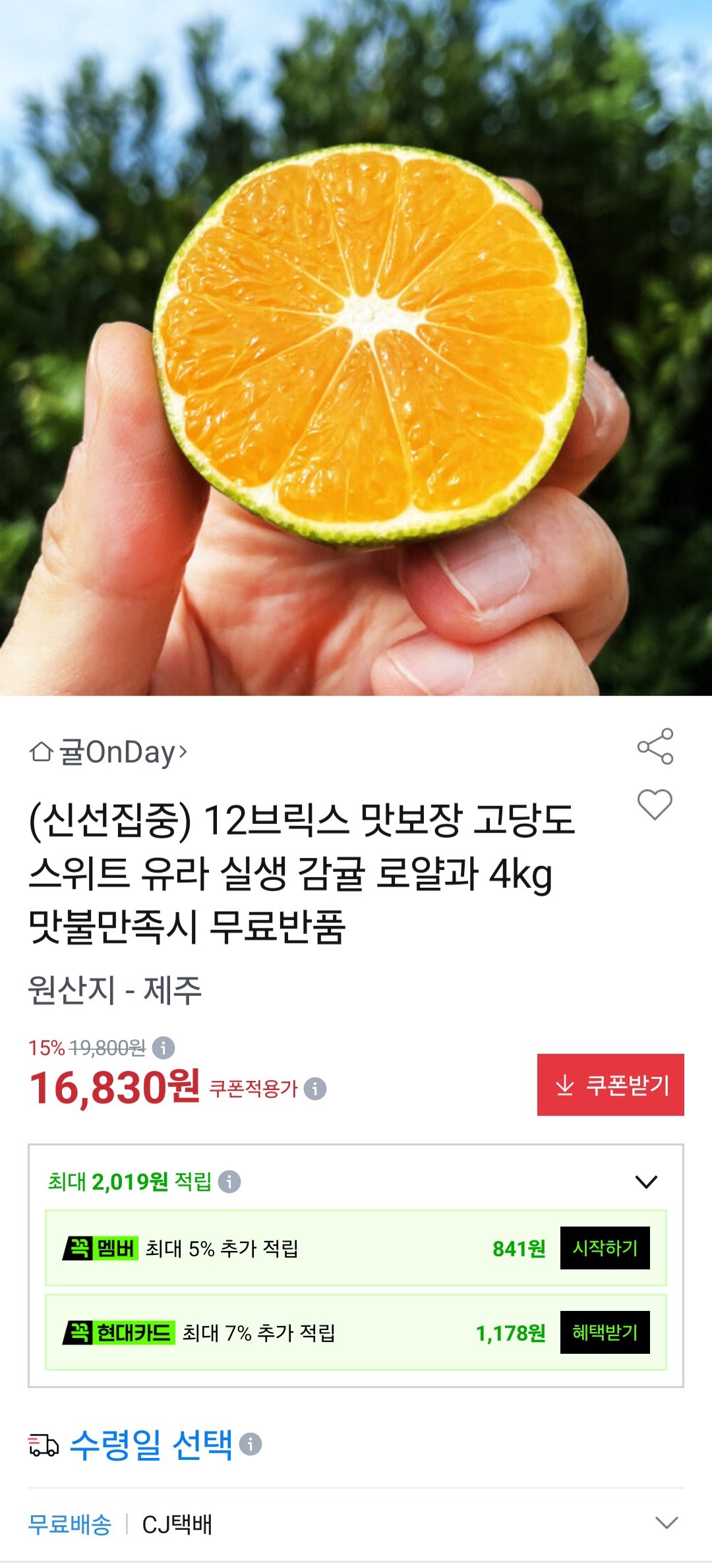 제주 유라실생감귤 4kg 로얄과 12브릭스