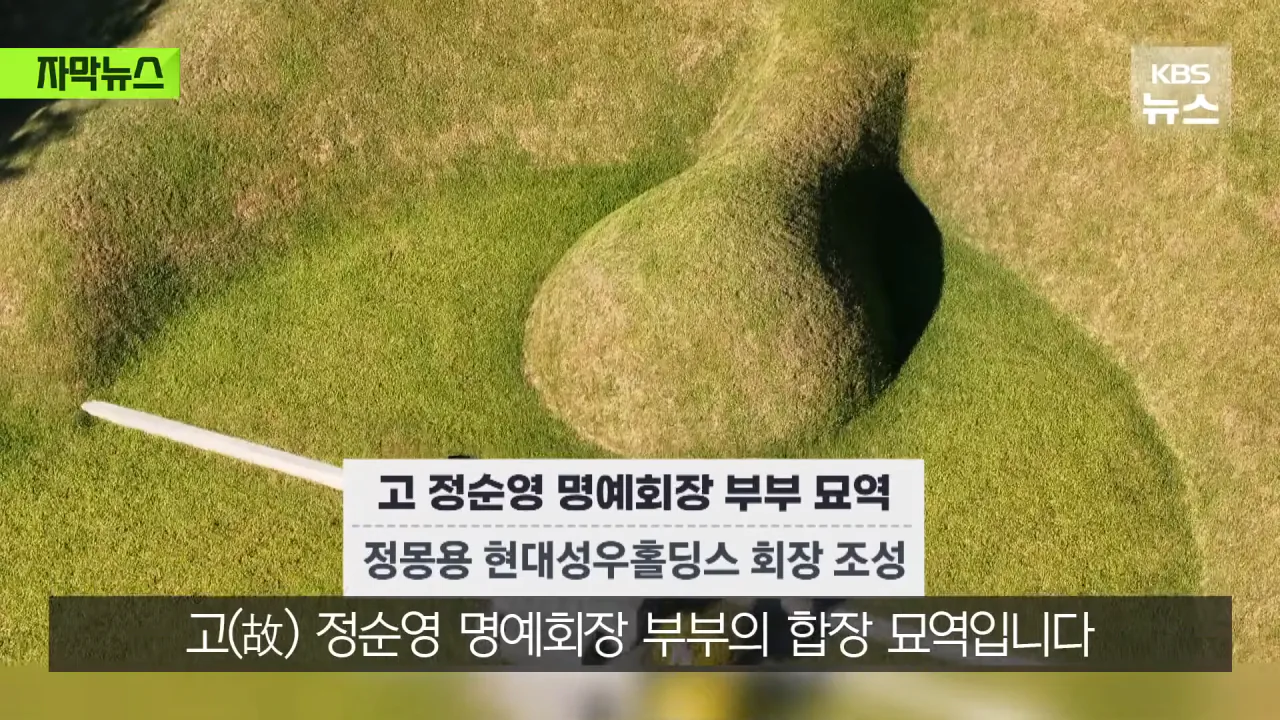 명당 차지한 범현대가 2세들…취재가 시작되자 "시정하겠다" (16)
