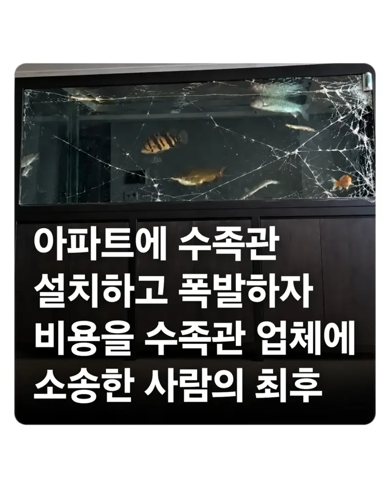 아파트에 거대수조 설치하고 파손되자 업체소송건 사람