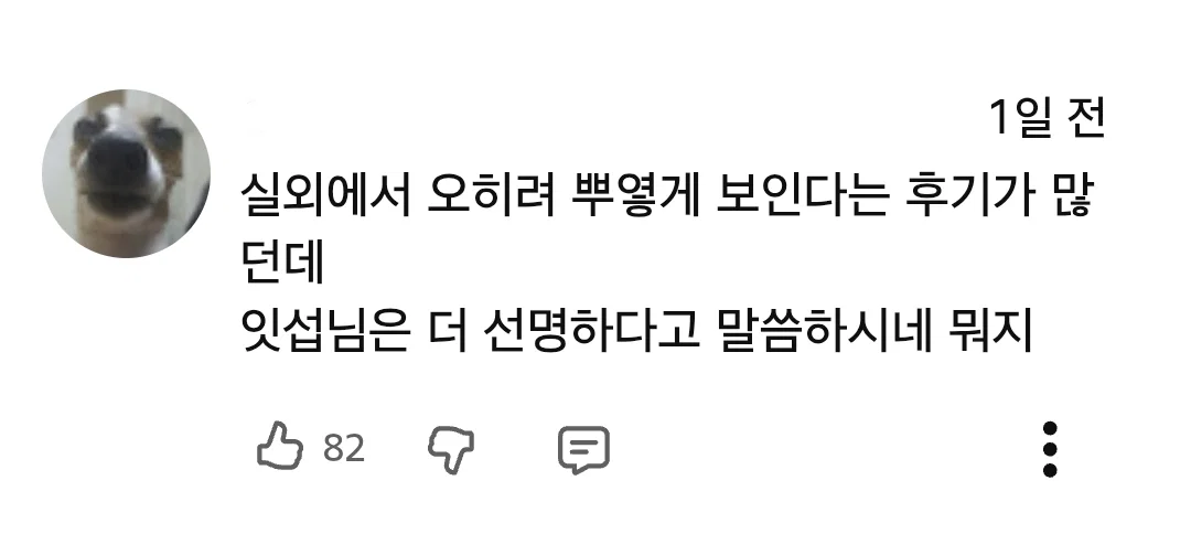 아이폰 듀오 리뷰 영상 반응 안 좋은듯한 잇섭 (15)