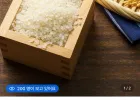 25년산 진주닮은쌀 10kg 새청무 특등급