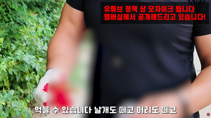사마귀 먹는 방법 알려주는 유튜버 (3)