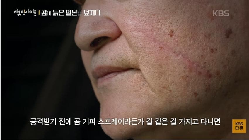 곰이 늙은 일본을 덮치다. 여고생 덮친 아키타 반달곰,, (24)