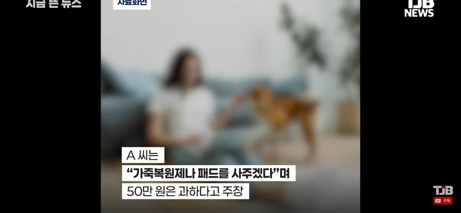 친구 집들이에 개를 데리고 갔더니 벌어진 일 (6)