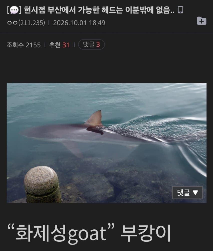싱글벙글 한국에서 까방권을 얻은 메탈 밴드 (2)