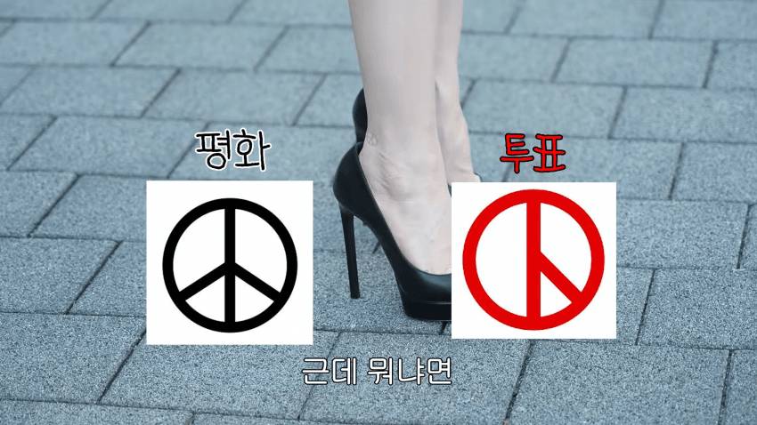 서인영 눈나가 '발'로 투표하게 된 이유 (7)