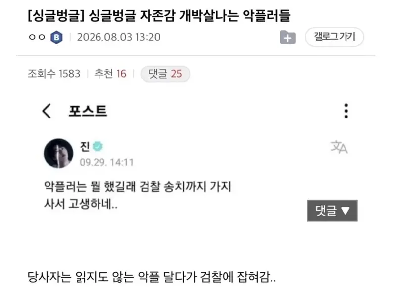 악플러 자존감 개박살 (2)