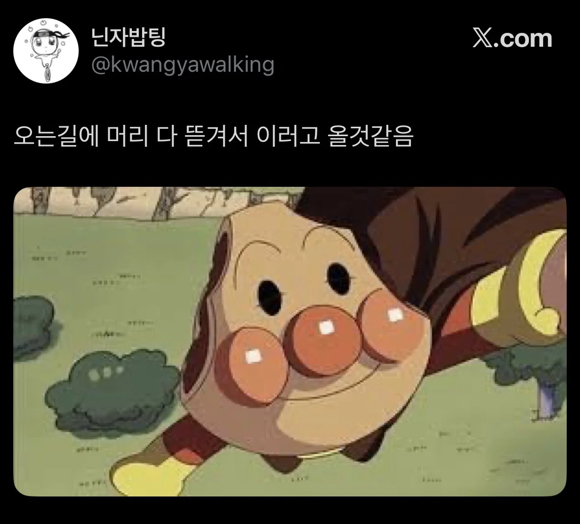 롯데월드 인외붐에 껴보려고 시도한 도미노피자.... (2)