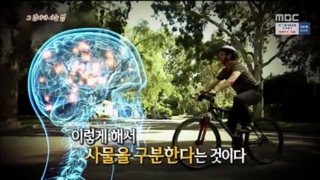 싱글벙글 리신이 음파 잘 맞히는 비법 (26)