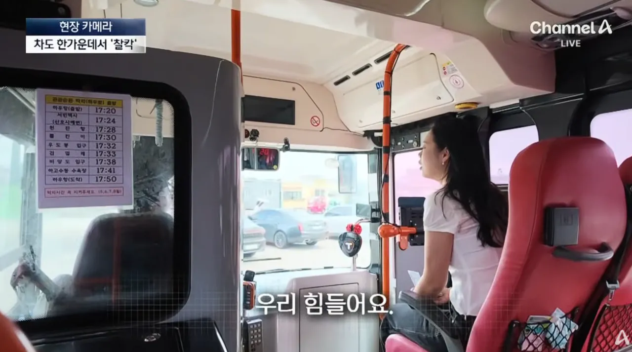 중국인 관광객들때문에 스트레스라는 제주도 우도 (18)