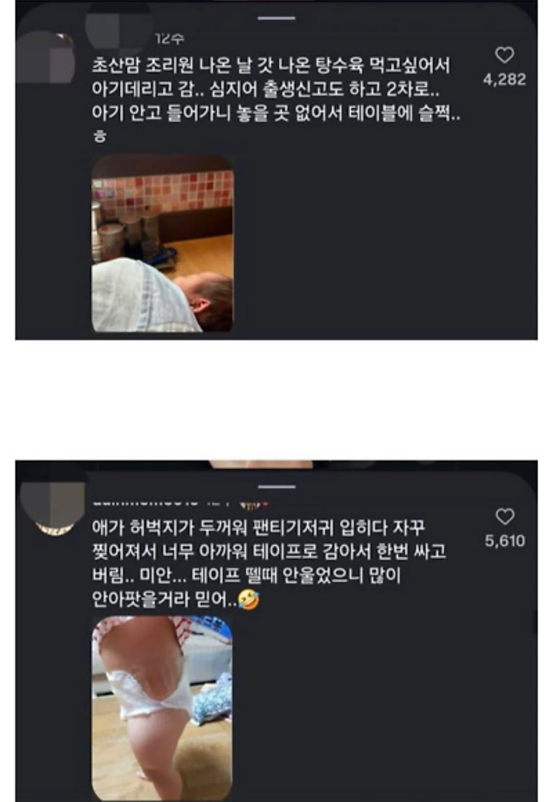 아기막 키우기대회 (4)