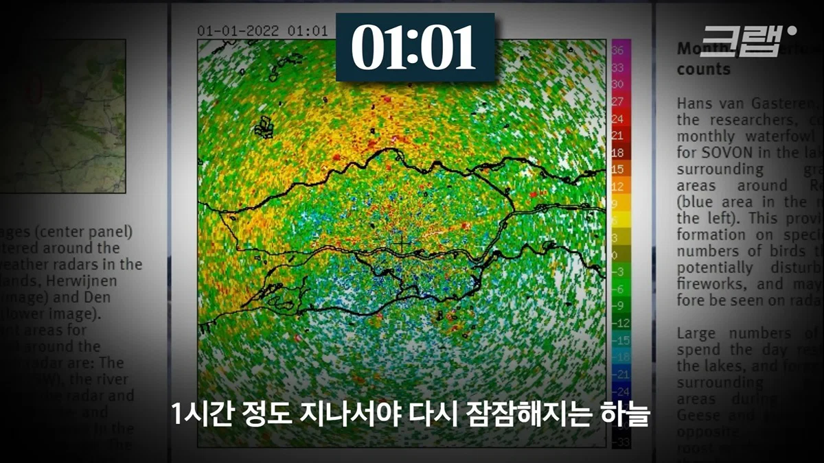 새들에겐 거의 전쟁난 수준이라는 불꽃축제 (28)