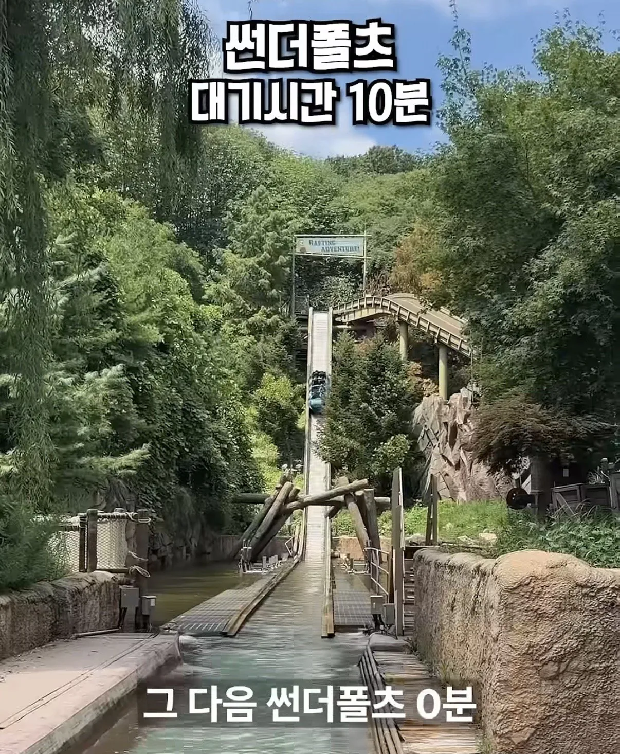 평일 점심 에버랜드 근황