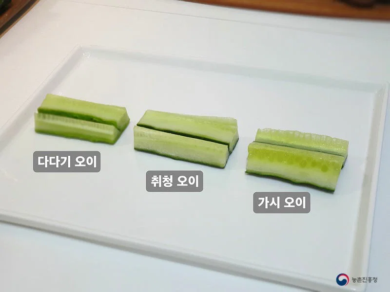 우리나라에서 수도권&충청도 / 전라도 / 경상도&제주도 지역마다 다르다는 채소 (10)
