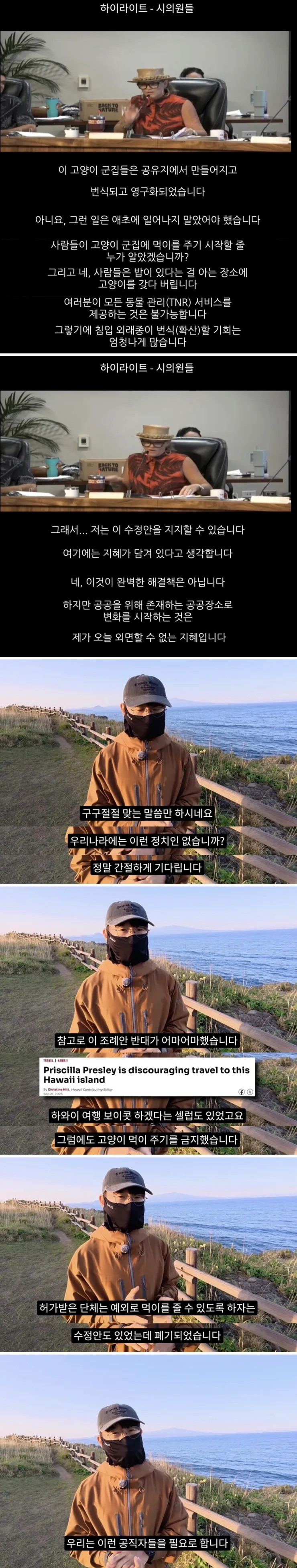 하와이 고양이 근황 feat. 의회 (4)